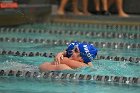 Swim vs Bentley  Wheaton College Swimming & Diving vs Bentley University. - Photo by Keith Nordstrom : Wheaton, Swimming & Diving